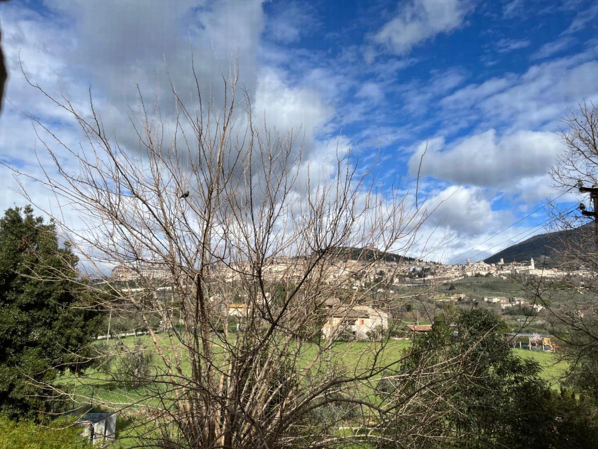 Camere Rosignoli Assisi Buitenkant foto